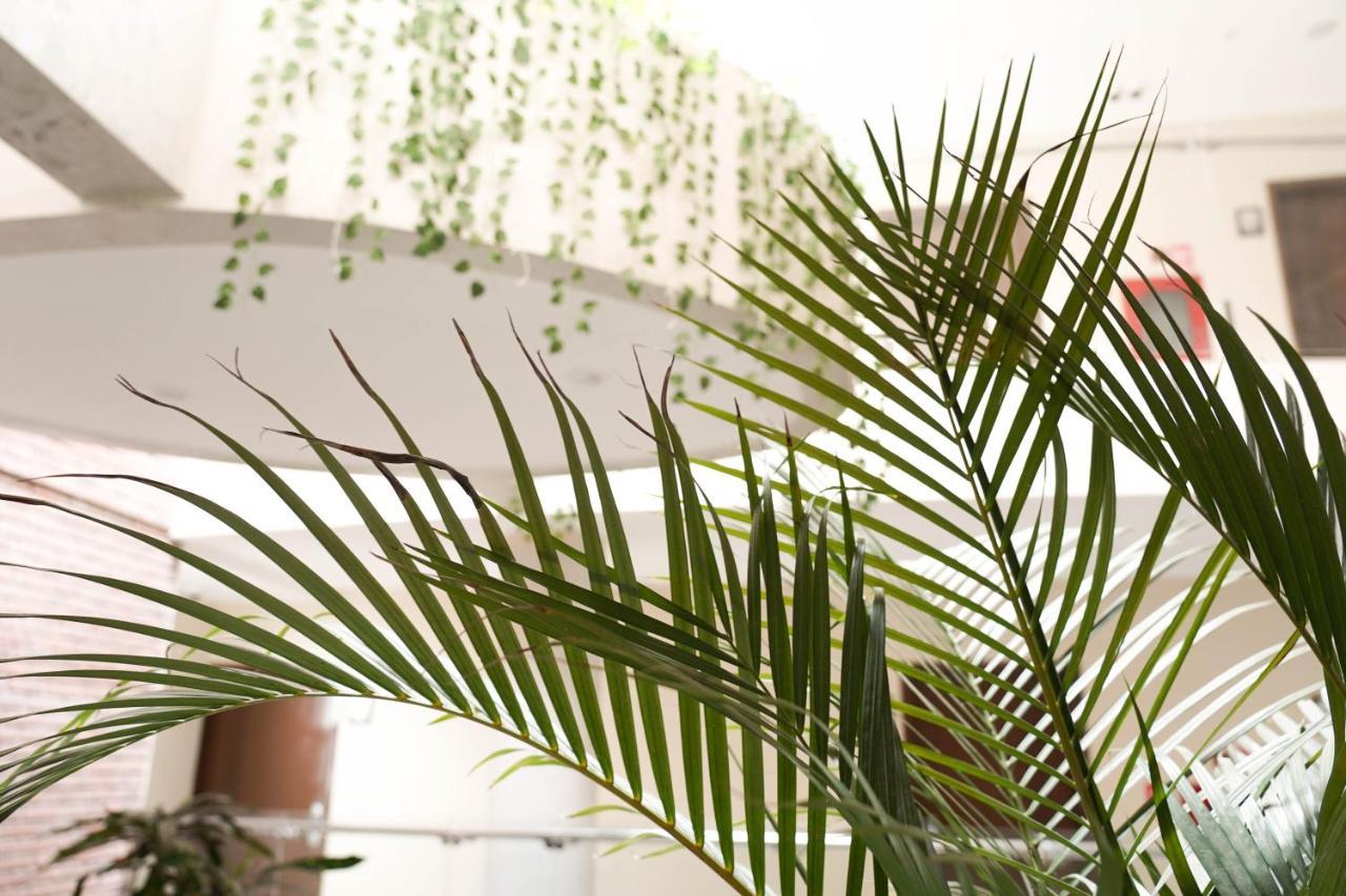 סנטה קרוז דה לה סיירה Chairu Eco Hotel מראה חיצוני תמונה